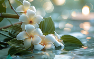 Bloemen in het water in een prive wellness